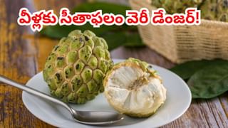 వామ్మో.. జంక్ ఫుడ్‌తో వచ్చే ఈ వ్యాధుల గురించి తెలిస్తే.. మళ్లీ జన్మలో ముట్టరు..