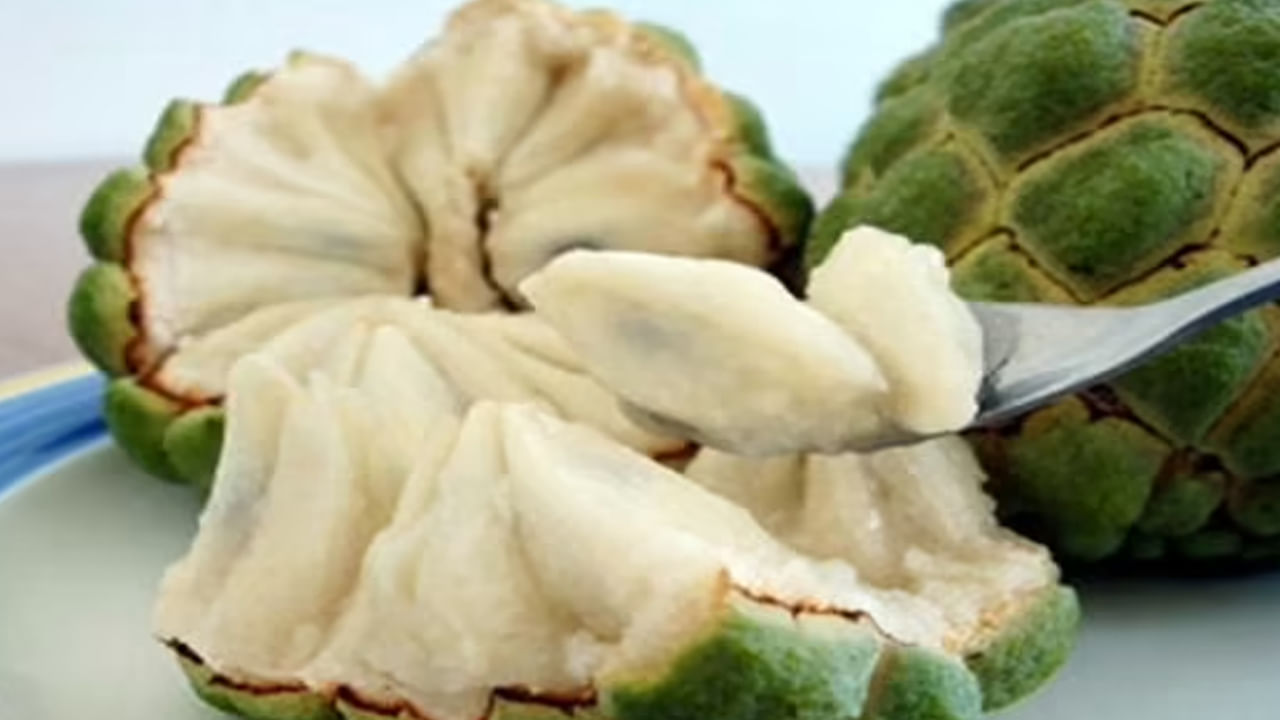 Custard Apple