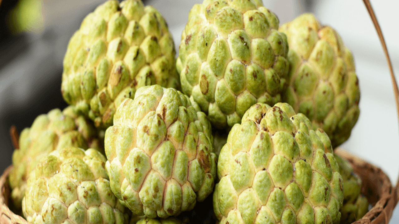 అలెర్జీలు ఉన్నవారు: కొంతమందికి సీతాఫలం తిన్న తర్వాత దురద, దద్దుర్లు, చికాకు లేదా ఇతర అలెర్జీ లక్షణాలు కనిపించవచ్చు. అలాంటి లక్షణాలు కనిపిస్తే, సీతాఫలం తినకుండా ఉండటం మంచిది.