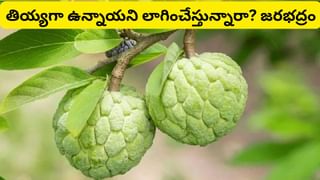 Bigg Boss Adi Reddy: ఆదిరెడ్డి రెండో కూతురి బారసాల వేడుక.. ఏం పేరు పెట్టారో తెలుసా? ఫొటోస్ ఇదిగో