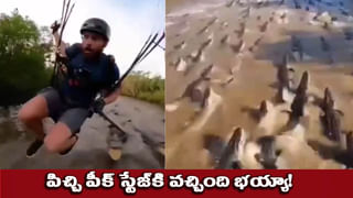 లవర్‌తో గడిపేందుకు టైమ్‌ లేదు.. అందుకే రూ.3.4 కోట్ల జీతం వచ్చే జాబ్‌ను వదిలేసింది! ఎక్కడో తెలుసా?