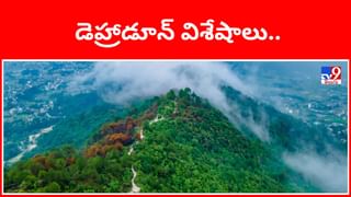 నెలలో బరువు తగ్గాలనుకుంటున్నారా..? ఈ చిన్న పసుపు గింజలు కొవ్వును కరిగించే యంత్రం!