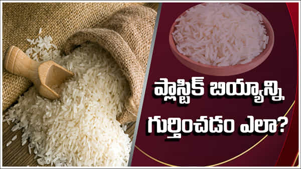 Detect Plastic Rice: మీరు తినే బియ్యం క్వాలిటీవేనా? ప్లాస్టిక్ రైస్ను గుర్తించడం ఎలా?