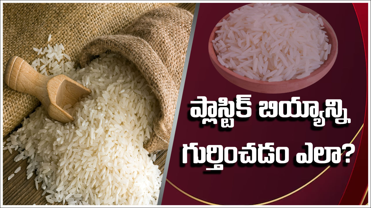 Detect Plastic Rice: మీరు తినే బియ్యం క్వాలిటీవేనా? ప్లాస్టిక్‌ రైస్‌ను గుర్తించడం ఎలా?
