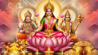 లక్ష్మీదేవికి తామర పూలను ఎందుకు సమర్పిస్తారు..? పండితులు ఏం చెబుతున్నారంటే..