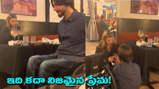 Viral Video: నీటి కుంటలో వింత ఆకారం.. కెమెరా జూమ్ చేయగా.. అమ్మ బాబోయ్..!