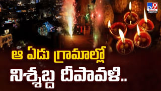 తోకలపూడి వెంకటేశ్వరస్వామి ఆలయంలో చిల్లర దొంగ చేతివాటం