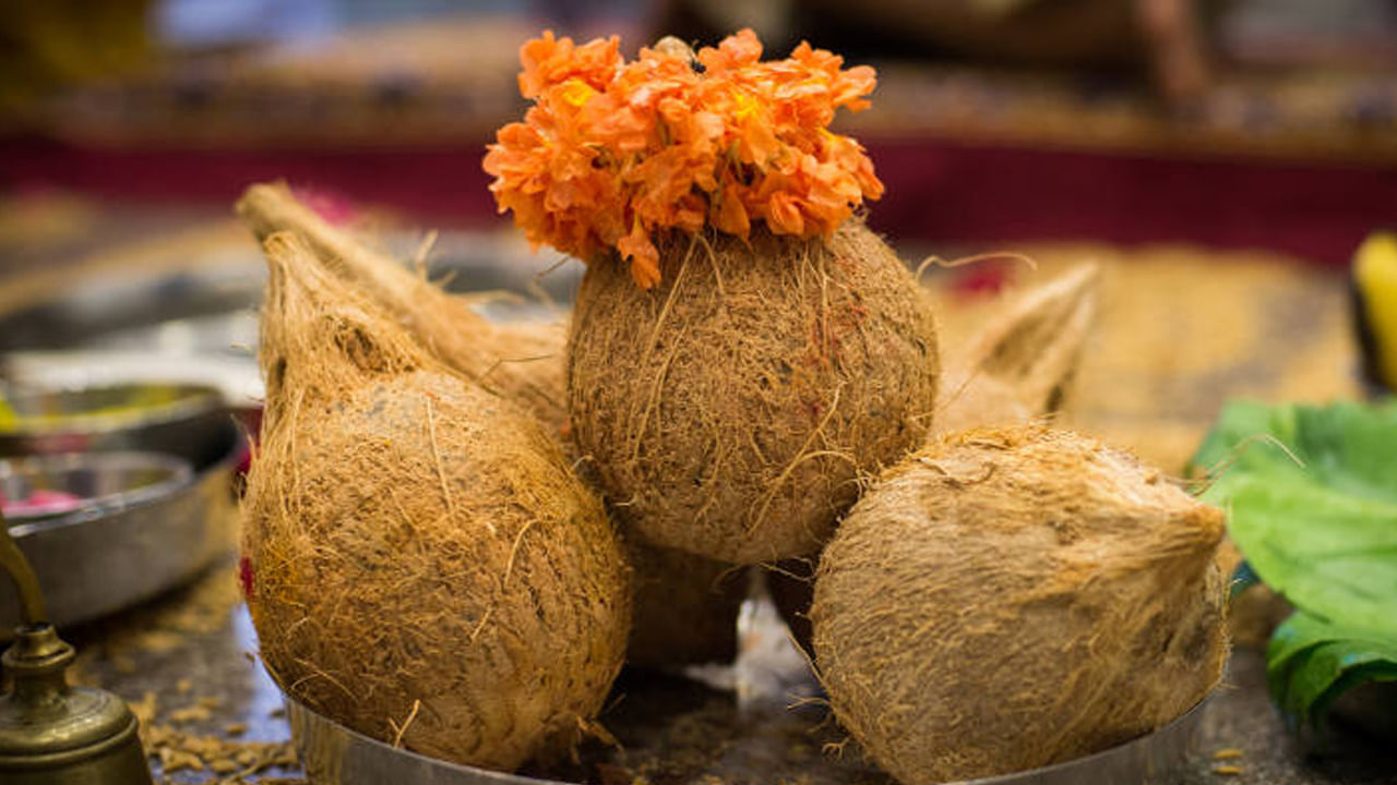 
కొబ్బరికాయను లక్ష్మీదేవి చిహ్నాలలో ఒకటిగా పరిగణిస్తారు. ఇది స్వచ్ఛత, సమృద్ధిని సూచిస్తుంది. సంప్రదాయం ప్రకారం దీపావళికి ముందు మీరు కొబ్బరి కాయని ఇంటికి తెచ్చుకోవడం శుభాలను కలుగజేస్తుంది. దానిని పూజ గదిలో ముఖ్యంగా లక్ష్మీదేవి విగ్రహం పక్కన ఉంచడం ద్వారా వాస్తు దోషాలు తొలగిపోయి ఇంట్లో సంపద, శ్రేయస్సు పెరుగుతాయని విశ్వసిస్తారు
