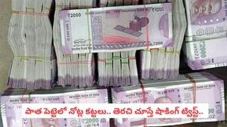 రైలులో సీటు కోసం యువతి లొల్లి.. ప్రయాణీకుల ప్రాణాలతోనే ఆడుకుందిగా..