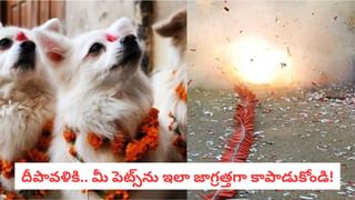 పీరియడ్స్ నొప్పులు తగ్గాలా? ఈ సింపుల్‌ టిప్స్ పాటిస్తే నెలసరిలోనూ ఫుల్ యాక్టివ్..!