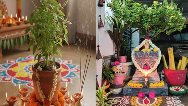 Diwali 2025: దీపావళి రోజున తులసిని ఇలా పూజించండి.. జీవితంలో సిరి సంపదలకు లోటే ఉండదు..