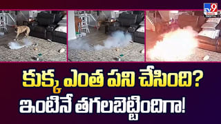 Gold Sweets: దేశంలోనే అత్యంత ఖరీదైన స్వీట్