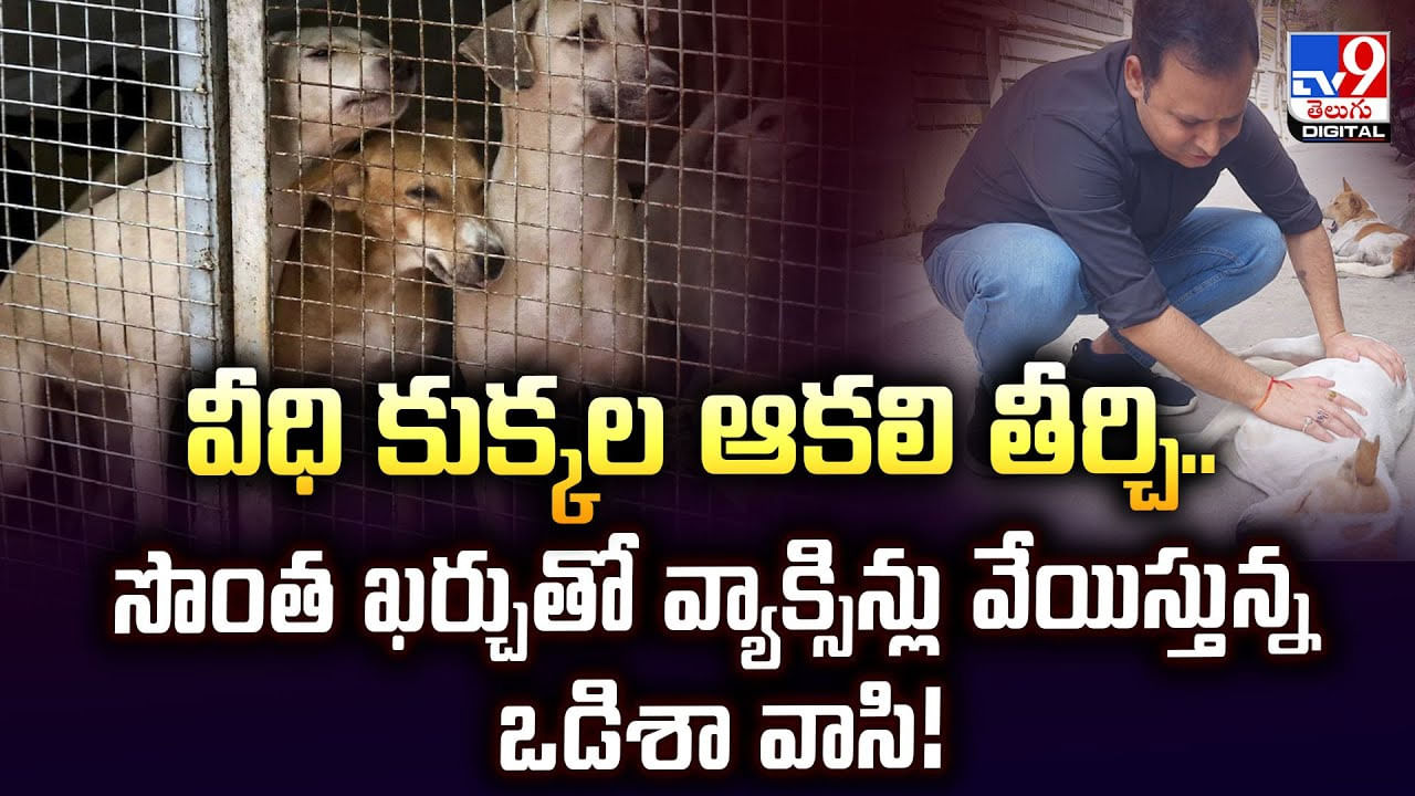 వీధి కుక్కల ఆకలి తీర్చి.. సొంత ఖర్చుతో వ్యాక్సిన్లు వేయిస్తున్న ఒడిశా వాసి