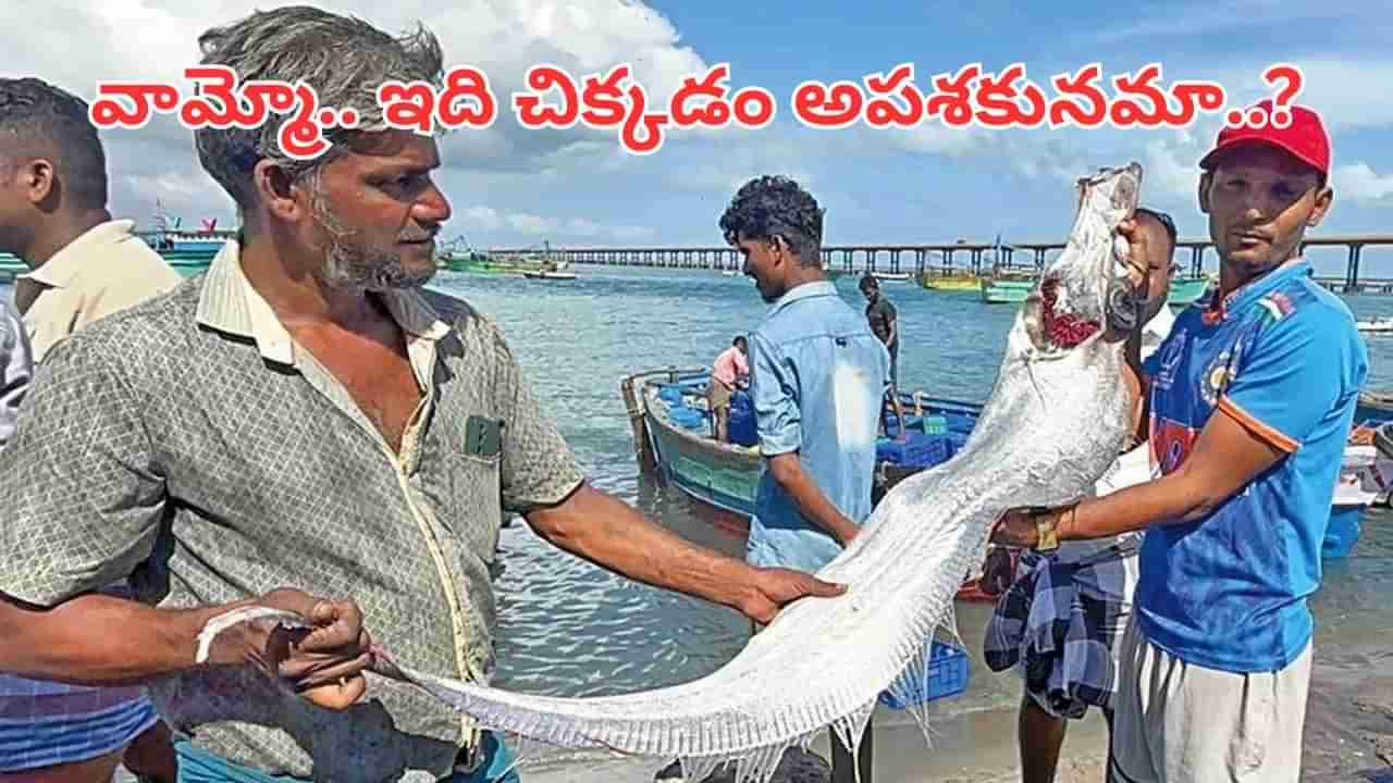 Viral: ఓరి దేవుడా.. మత్స్యకారుల వలకు చిక్కిన మర్మమైన చేప.. ఇది కనిపిస్తే పెను వినాశనం తప్పదా..?