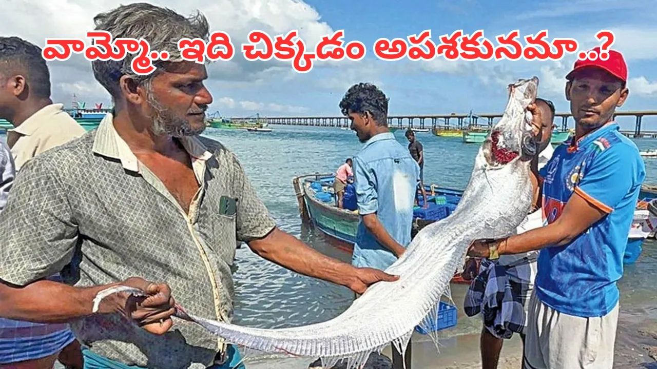 Viral: ఓరి దేవుడా.. మత్స్యకారుల వలకు చిక్కిన మర్మమైన చేప.. ఇది కనిపిస్తే పెను వినాశనం తప్పదా..?