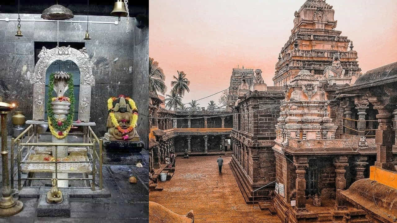 ద్రాక్షారామ, ద్రాక్షారామం: ద్రాక్షారామంలోని భీమేశ్వర ఆలయం సాంప్రదాయకంగా చాళుక్య భీమ I ​​కి చెందినదిగా చెప్పబడుతోంది. అయితే దీనికి శిలాశాసన మద్దతు లేదు. అమ్మ II (945–970 CE) పాలన నాటి ఒక శాసనం కుప్పనార్య అనే అధికారి గురించి ప్రస్తావిస్తుంది. అతను ద్రాక్షారామంలో కుప్పేశ్వర అనే శివాలయాన్ని నిర్మించాడు. అయితే ఆ పేరుతో ఇప్పుడు ఆలయం లేదు. 1081 CE నాటి భీమేశ్వర ఆలయంలోని తొలి శాసనం ఈ కాలానికి ముందు దాని ఉనికిని సూచిస్తుంది. 982 CE నాటి మరొక శాసనం ఈ ఆలయాన్ని ప్రస్తావిస్తుంది. ఇది 10వ శతాబ్దం ప్రారంభంలో బహుశా కుప్పనార్య కాలంలో నిర్మించబడిందని సూచిస్తుంది. రాముడు ఇక్కడ శివుడిని, తరువాత సూర్యుడిని, ఇంద్రుడిని పూజించాడని నమ్ముతారు. 18 శక్తి పీఠాలలో ఒకరైన మాణిక్యమాబా దేవి ఇక్కడ ఉంది.
