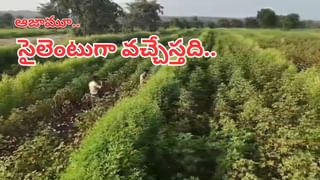 రూ. 1500 లంచం కేసులో 13 ఏళ్ల విచారణ.. సంచలన తీర్పునిచ్చిన ఏసీబీ కోర్టు