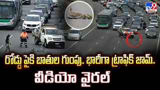 ఏం తమ్ముళ్లూ.. ఎలా ఉన్నారు ?? చంద్రబాబు పేరుతో ఫేక్ వీడియో కాల్