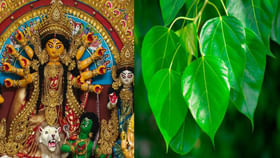 దసరాకు ఈ వస్తువులను ఇంటికి తీసుకురండి.. అదృష్టం, సంపద మీ సొంతం