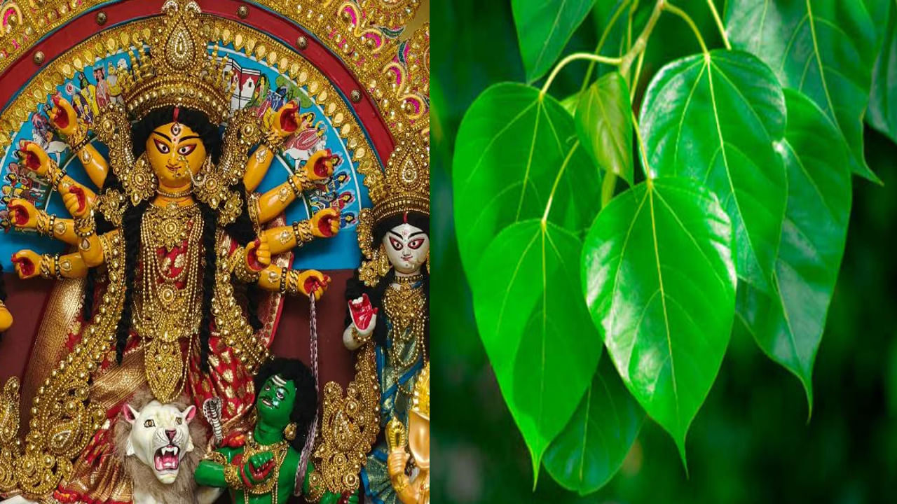 Dussehra 2025: దసరాకు ఈ వస్తువులను ఇంటికి తీసుకురండి.. అదృష్టం, సంపద వెల్లివిరుస్తుంది!