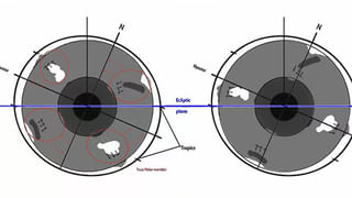 Snake Video: ఒక్క కాటుతో 100 మందిని చంపగల పామును.. పాప్ కార్న్‌లా నమిలి తినేసింది…