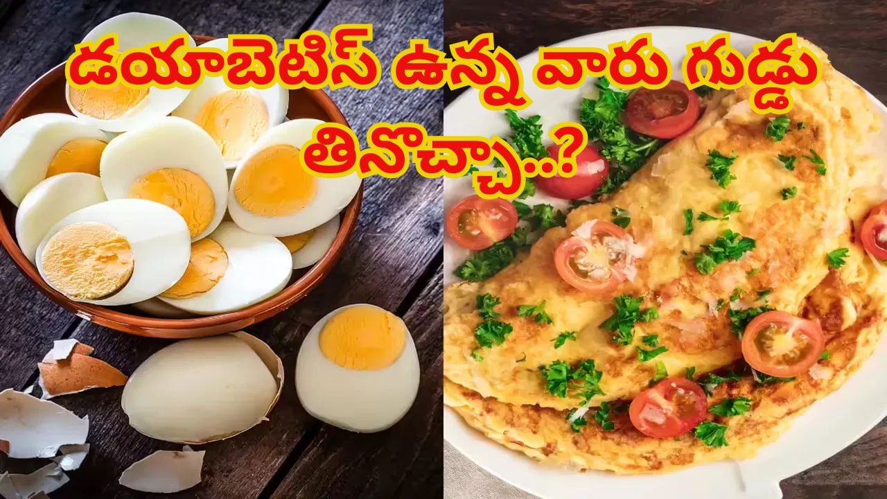 Diabetes Control Tips: డయాబెటిస్ ఉన్న వారు గుడ్డు తినొచ్చా..? తింటే ఎన్ని తిన్నాలి.. – Telugu News | Egg To Control Ddiabetes Naturally Lifestyle News in Telugu