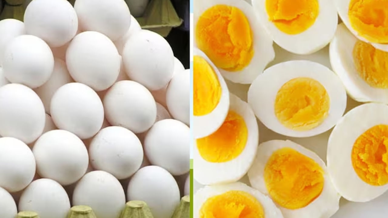 అయితే బరువు తగ్గడానికి ఉడికించిన గుడ్లు లేదా గుడ్డు ఆమ్లెట్ ఏది ఎక్కువ ప్రయోజనకరంగా ఉంటుంది? అనే ప్రశ్న చాలా మందిలో ఉంటుంది. కాబట్టి ఈ రెండింటిలో ఏది వాస్తవానికి ప్రయోజనకరంగా ఉంటుందో ఇక్కడ తెలుసుకుందాం