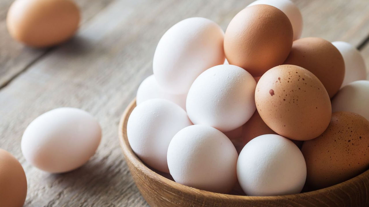 చాలా మంది తప్పకుండా రోజుకు ఒక గుడ్డు తింటుంటారు. అయితే కొంత మంది మాత్రం ఆరోగ్యానికి మంచిదని బ్రౌన్ ఎగ్ తింటుంటారు. ఇంకొందరు వైట్ ఎగ్స్ తింటుటారు. కానీ చాలా మందిలో వీటిలో ఎందులో ఎక్కువ ప్రోటీన్ ఉంటుంది? ఏది ఆరోగ్యానికి మంచిది అనే డౌట్ ఉంటది.