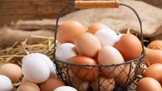 చలి కాలం వచ్చేసింది… ఈ సమయంలో అస్సలే తీసుకోకూడని ఫ్రూట్స్ ఇవే!