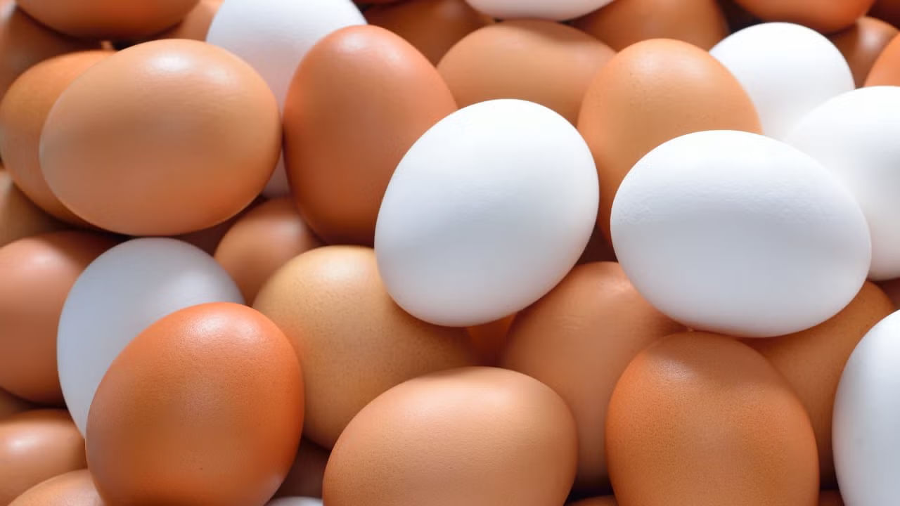 మంచి పోషకాలు ఉండే ఆహారాల్లో ఎగ్స్ ఒకటి. ఒక కోడి గుడ్డులో దాదాపు ఆరు గ్రాముల ప్రోటీన్ ఉంటుంది. అలాగే మంచి పోషకాలు ఉంటాయి. అంతే కాకుండా గుడ్డులో విటమిన్స్, కోలిన్, ఆమైనో ఆమ్లాలు పుష్కలంగా ఉంటాయి. అందుకే వైద్య నిపుణులు తప్పకుండా రోజుకు ఒక గుడ్డు తినాలని చెబుతుంటారు.