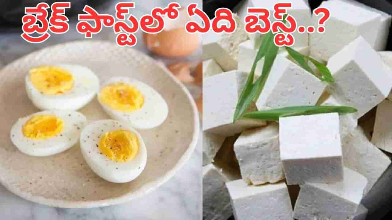 Eggs Vs Paneer: పనీర్ వర్సెస్ గుడ్లు.. బ్రేక్ ఫాస్ట్‌లో ఏది బెస్ట్..? అసలు విషయం తెలిస్తే అవాక్కే..