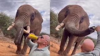 నువ్వు దేవుడు సామీ..! బ్రేక్‌ఫాస్ట్‌లో 10కిలోల మిరపకాయలు, ఎర్రటి కారం పొడితో స్నానం.. షాకింగ్‌ వీడియో చూస్తే..