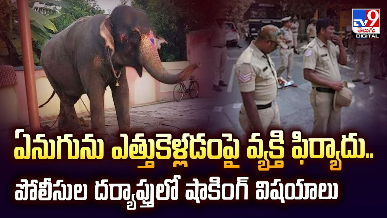 ఏనుగును ఎత్తుకెళ్లడంపై వ్యక్తి ఫిర్యాదు.. పోలీసుల దర్యాప్తులో షాకింగ్‌ విషయాలు