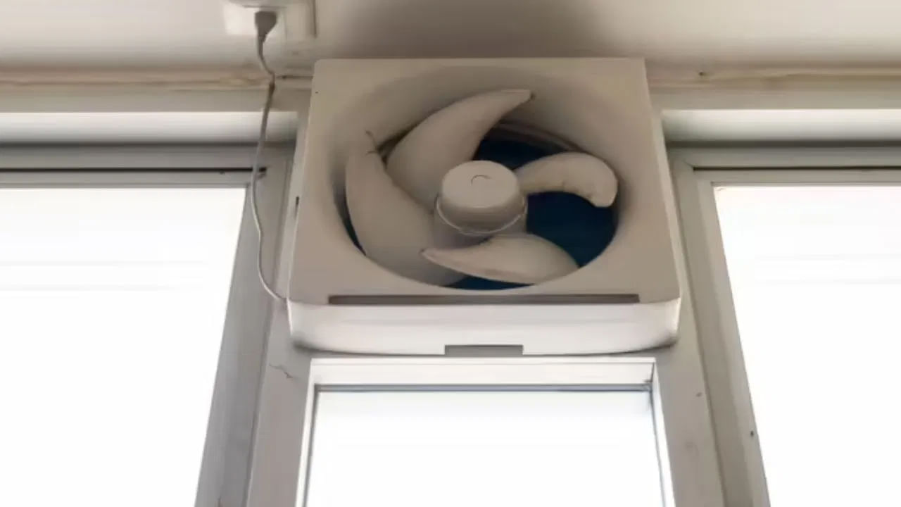 Exhaust Fan Clean3