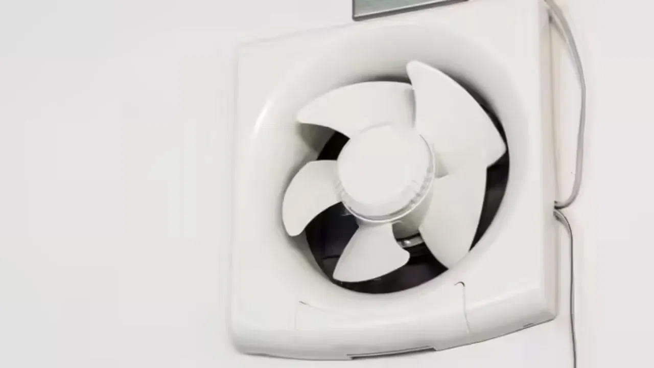 Exhaust Fan Clean5