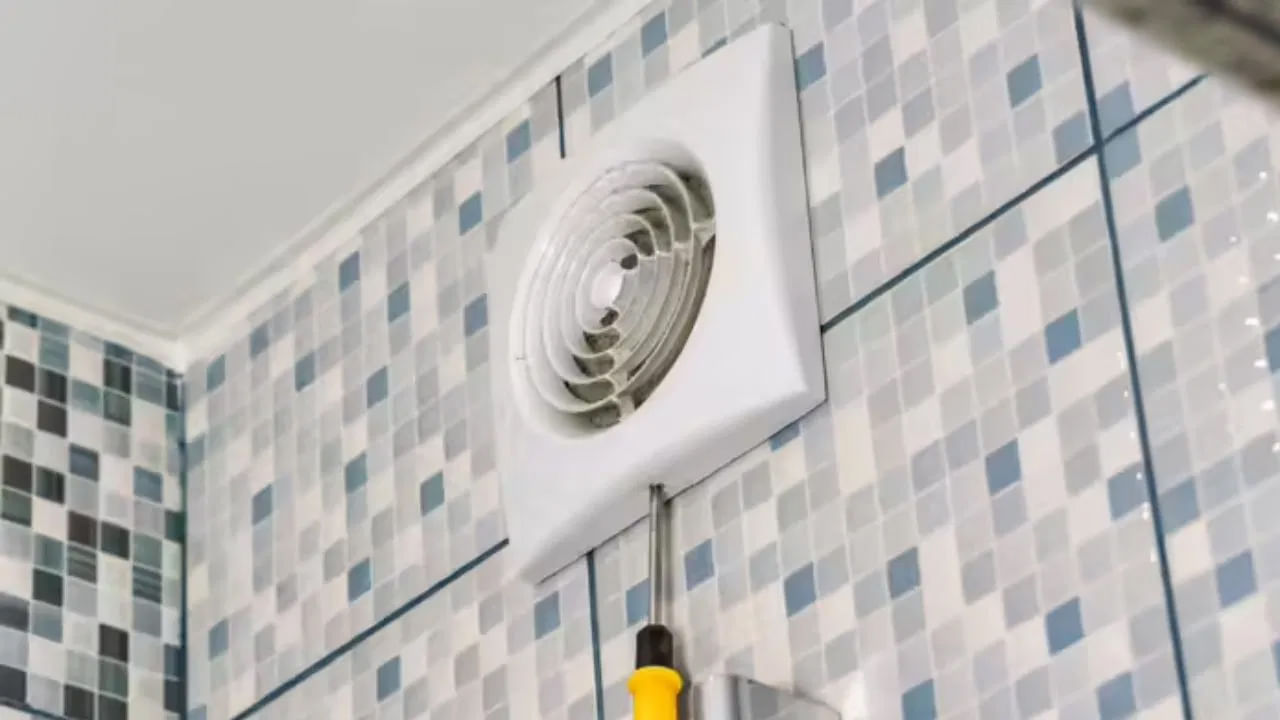 Exhaust Fan Clean6