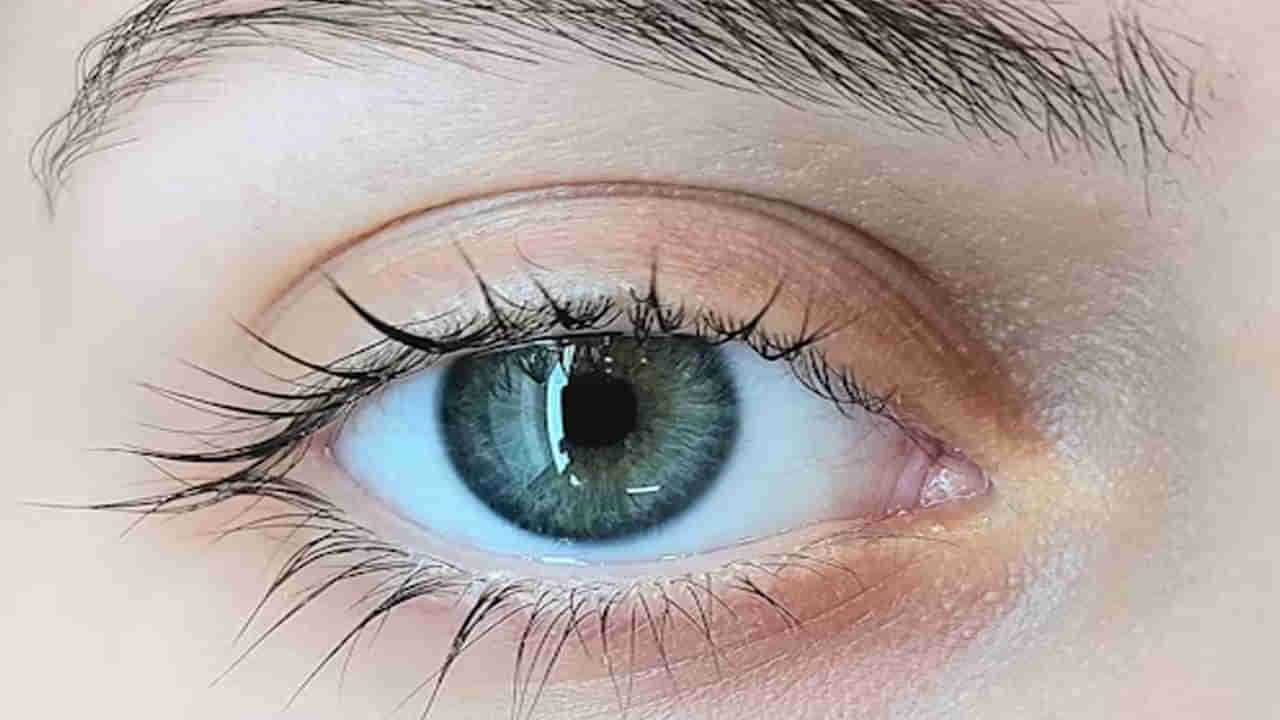 Eye Care Tips: కళ్ళను అలెర్జీ సమస్యల నుంచి రక్షణ కోసం రోజూ ఈ అలవాట్లు దినచర్యలో చేర్చుకోండి..