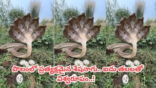 మసీదు పక్కనే రెండేళ్లుగా ఉన్న కారు.. లోపల ఉన్నది చూసి ఖంగుతిన్న స్థానికులు