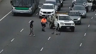 Gold in Trees: ఈ చెట్లకు బంగారం పండుతుంది..! శాస్త్రవేత్తల పరిశోధనతో సరికొత్త ఆధారం..