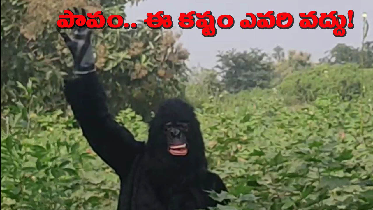 పంటను కాపాడుకోవడం కోసం మానవ ప్రయత్నాలు.. కొత్త అవతారమెత్తిన రైతు..!