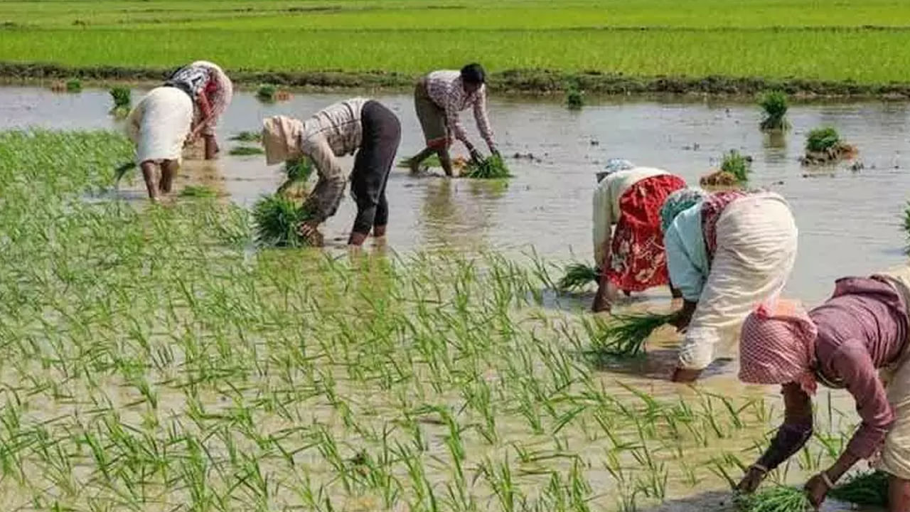 ఈ సమాచారాన్ని అందిస్తూ వ్యవసాయ మంత్రి శివరాజ్ సింగ్ చౌహాన్ మాట్లాడుతూ, ఈ సందర్భంగా ప్రధానమంత్రి రెండు ప్రధాన కార్యక్రమాలను ప్రారంభిస్తారని చెప్పారు. ప్రధానమంత్రి ధన్ ధాన్య కృషి యోజన, పప్పుధాన్యాల కోసం ఆత్మనిర్భరత మిషన్.