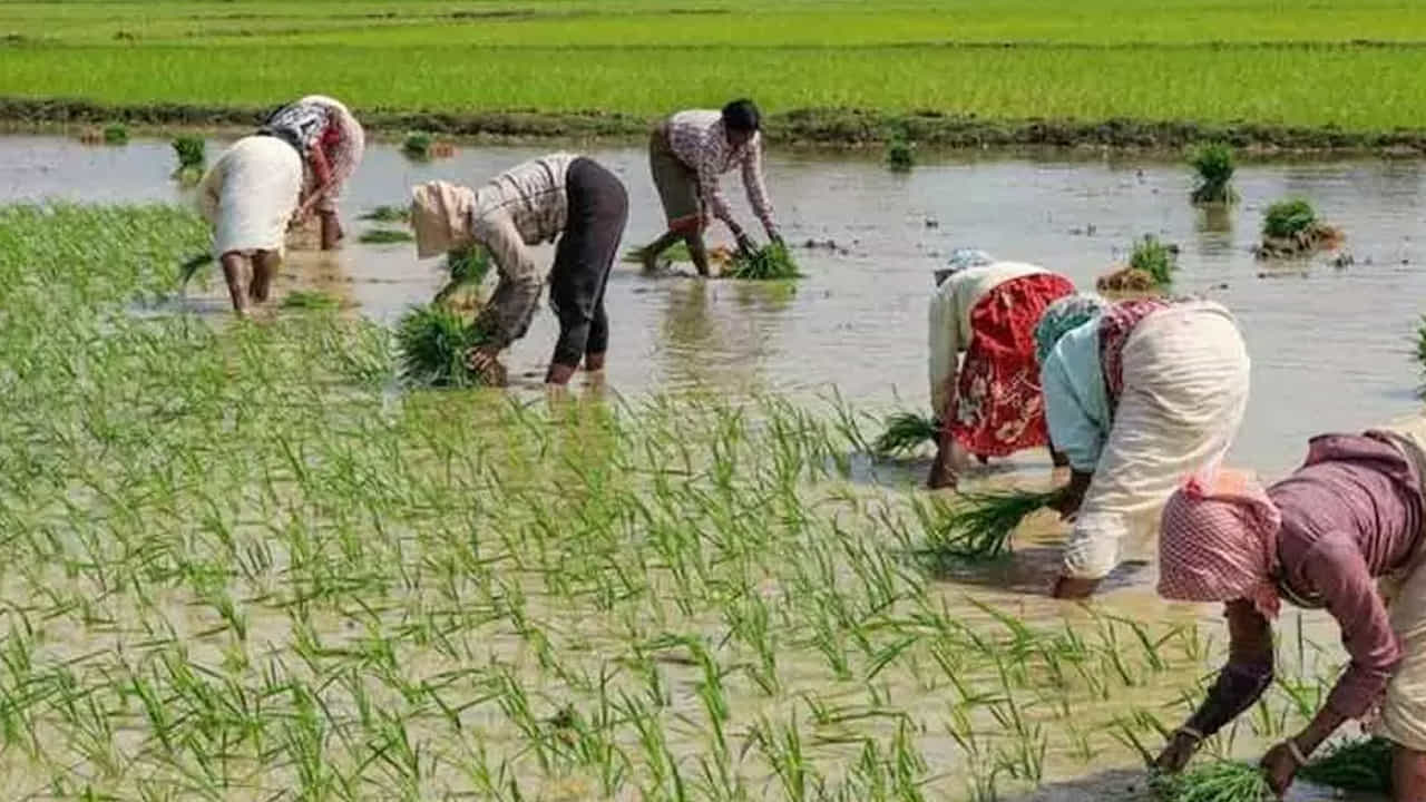 ఈ సమాచారాన్ని అందిస్తూ వ్యవసాయ మంత్రి శివరాజ్ సింగ్ చౌహాన్ మాట్లాడుతూ, ఈ సందర్భంగా ప్రధానమంత్రి రెండు ప్రధాన కార్యక్రమాలను ప్రారంభిస్తారని చెప్పారు. ప్రధానమంత్రి ధన్ ధాన్య కృషి యోజన, పప్పుధాన్యాల కోసం ఆత్మనిర్భరత మిషన్.