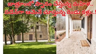 Viral Video: కుంటుకుంటూ స్వయంగా వైద్యుడి దగ్గరకు వెళ్లిన పిల్లి… దానికన్నీ తెలుసు.. మనుషులైతే బాబాల దగ్గరికి వెళ్లేవారంటున్న నెటిజన్స్‌