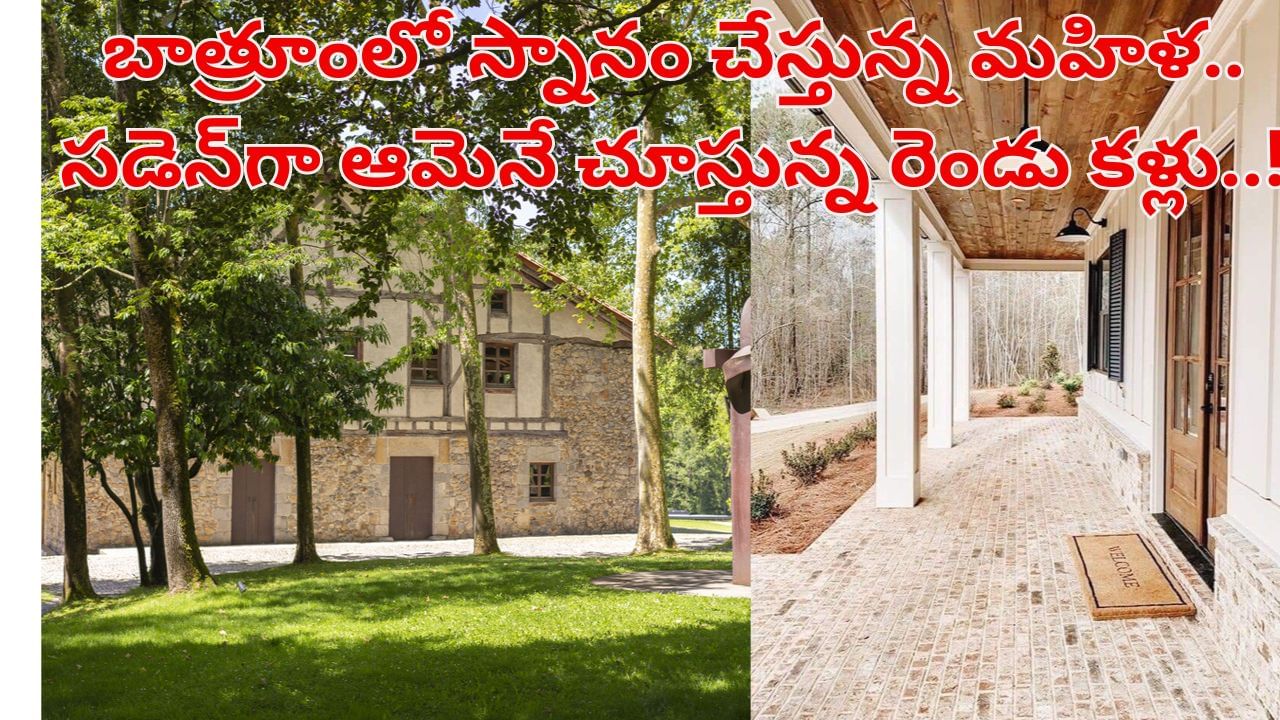 Watch: బాత్రూంలో స్నానం చేస్తున్న మహిళ.. సడెన్‌గా ఆమెనే చూస్తున్న రెండు కళ్లు..! ఆ తర్వాత ఏం జరిగిందో తెలిస్తే..