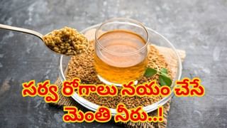 Barley Water: నడవలేని వారిని సైతం పరిగెత్తించే బార్లీ నీరు.. ఇలా తాగితే రెట్టింపు లాభాలు..!