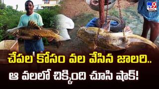 ప్రాణాలు కాపాడిన డ్రోన్లు.. ఎలాగో వీడీయో మీరే చూడండి