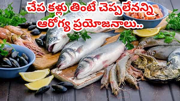 చేప కళ్ళను తక్కువగా అంచనా వెయ్యొద్దు.. ఆరోగ్య ప్రయోజనాలు తెలిస్తే తప్పక తింటారు..!