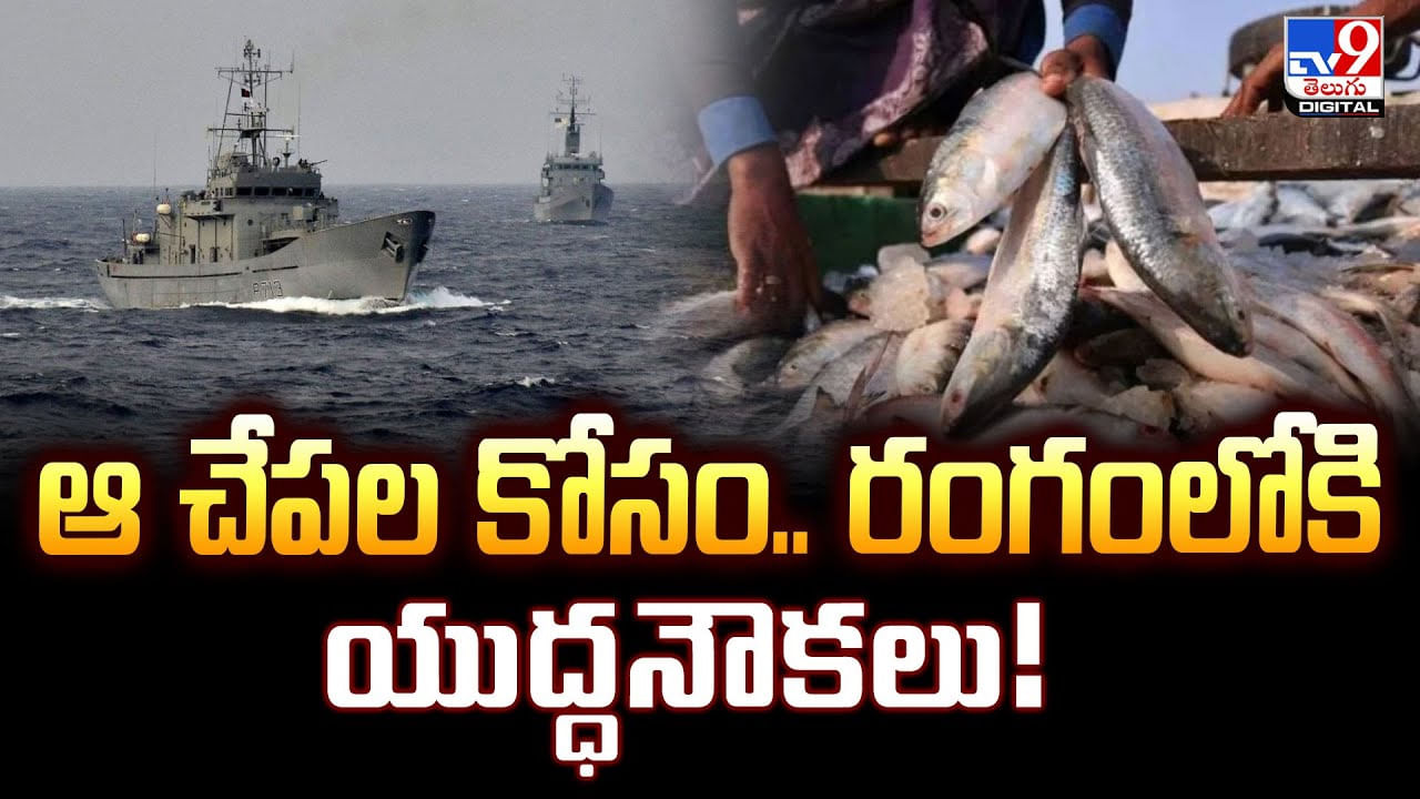 ఆ చేపల కోసం.. రంగంలోకి యుద్ధనౌకలు ఆ చేపల కోసం.. రంగంలోకి యుద్ధనౌకలు