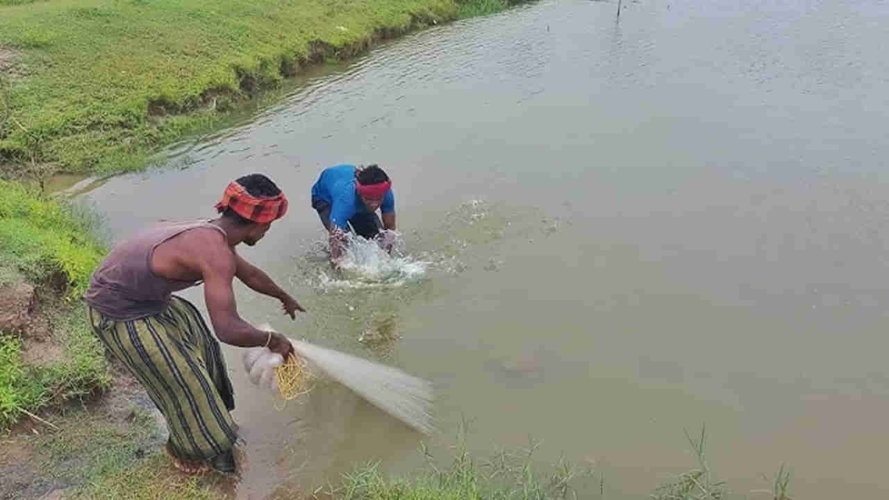 Khammam: గంగమ్మకు మొక్కి వల వేసిన జాలరి.. చిక్కింది చూసి సంబరం..