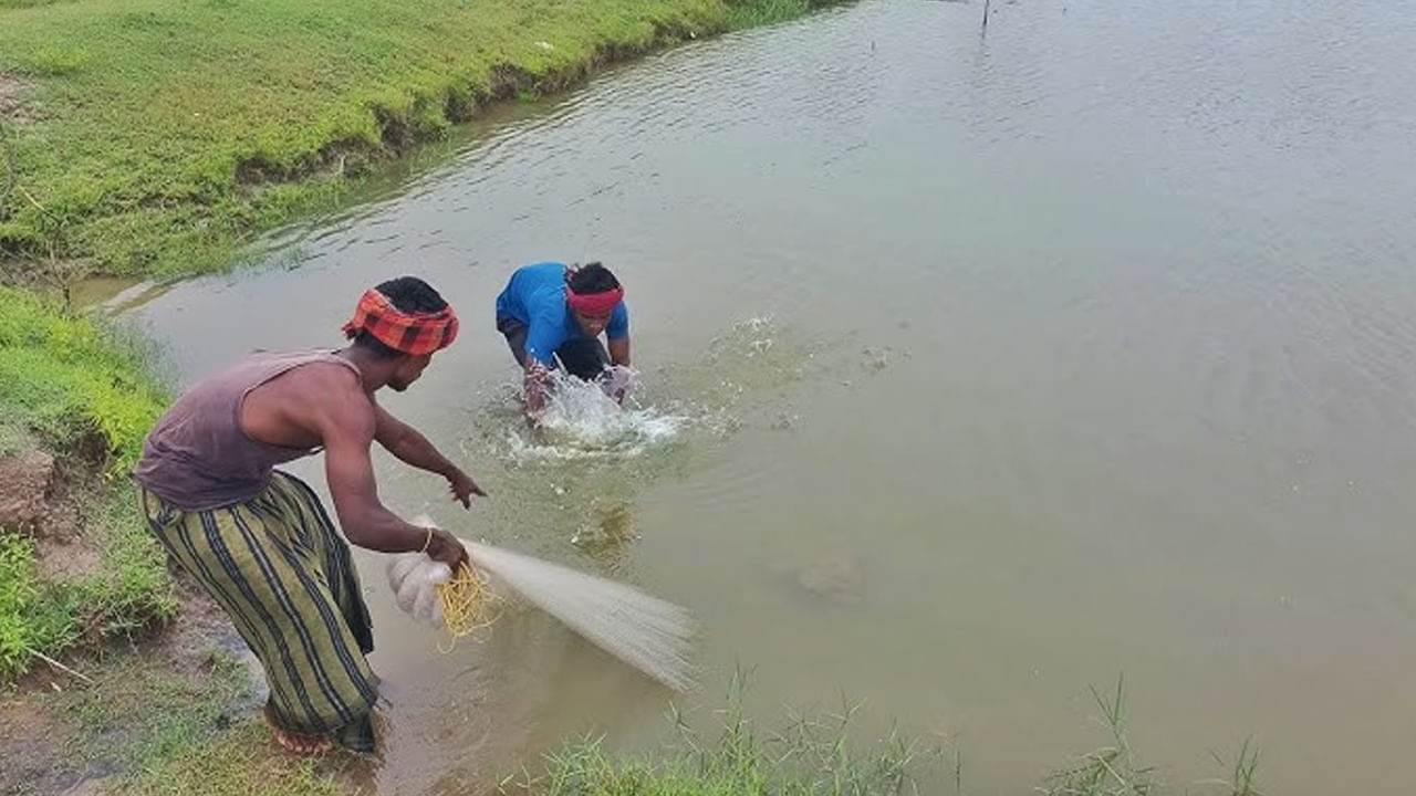 Khammam: గంగమ్మకు మొక్కి వల వేసిన జాలరి.. చిక్కింది చూసి సంబరం..